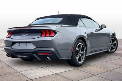 2024 Ford Mustang EcoBoost Premium Conv