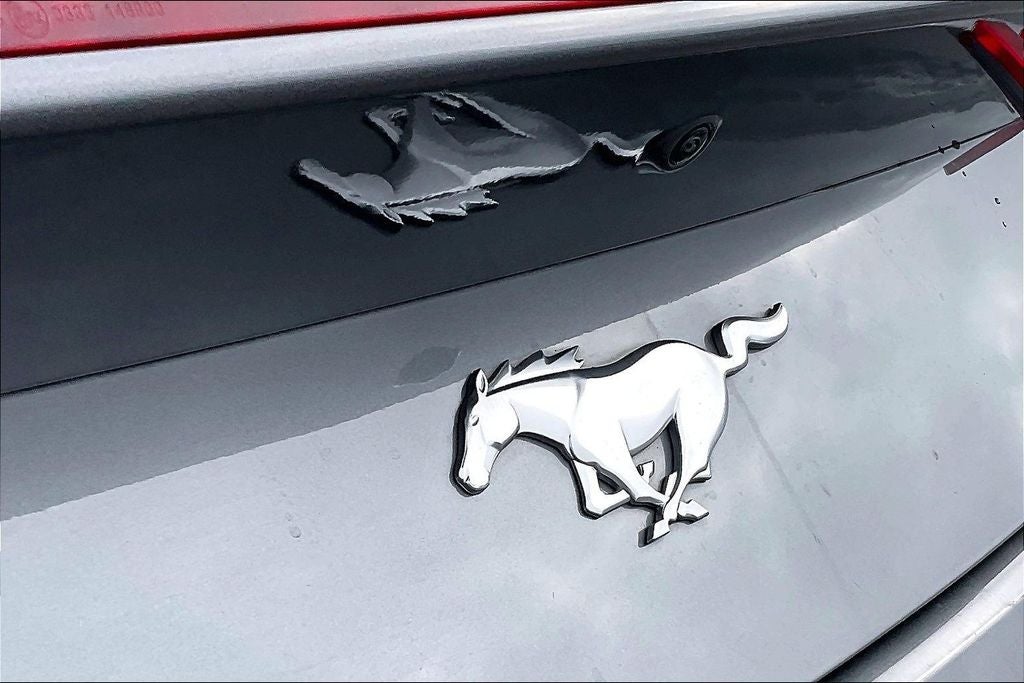 2024 Ford Mustang EcoBoost Premium Conv